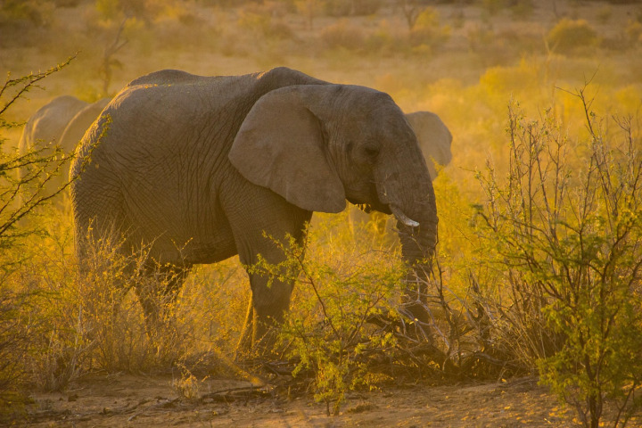 African travel and documentary story